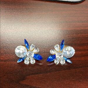 Elegant Blue and Silver Crystal Earrings